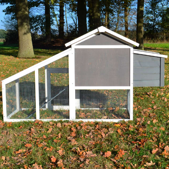 zooprinz Hühnerstall Dottie L